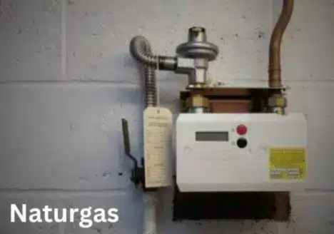 Naturgas