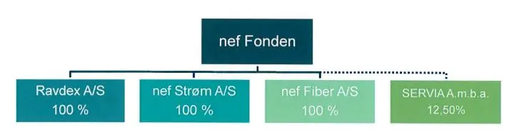 nef fonden koncernoversigt